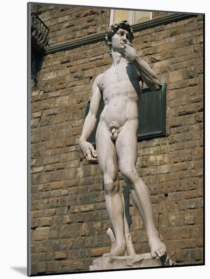 Statue of David by Michelangelo in the Piazza Della Signoria in Florence, Tuscany, Italy-Lightfoot Jeremy-Mounted Photographic Print