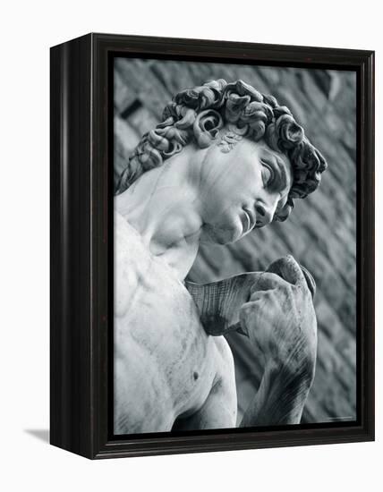 Statue of David, Florence, Tuscany, Italy-Alan Copson-Framed Premier Image Canvas