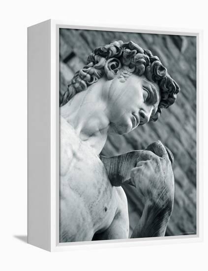 Statue of David, Florence, Tuscany, Italy-Alan Copson-Framed Premier Image Canvas