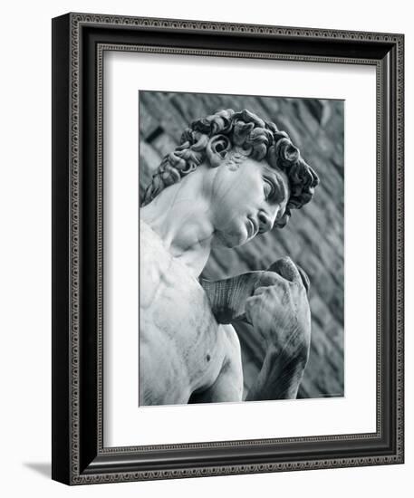 Statue of David, Florence, Tuscany, Italy-Alan Copson-Framed Photographic Print