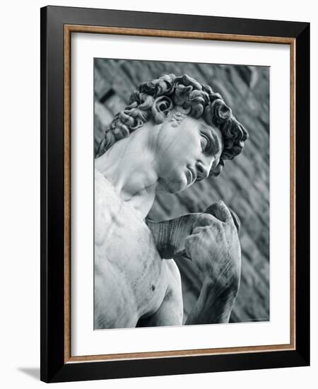 Statue of David, Florence, Tuscany, Italy-Alan Copson-Framed Photographic Print