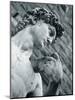 Statue of David, Florence, Tuscany, Italy-Alan Copson-Mounted Photographic Print