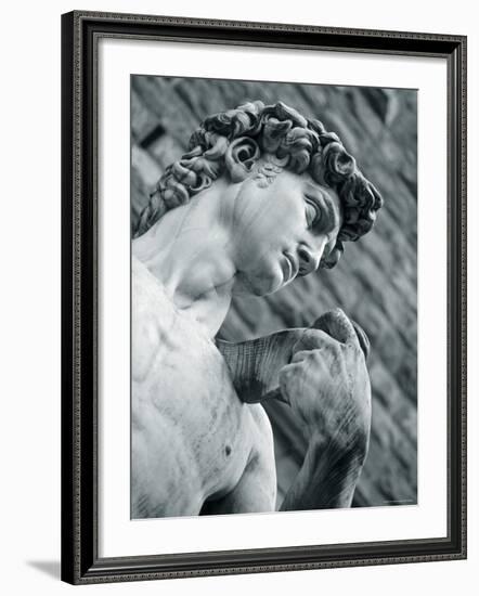 Statue of David, Florence, Tuscany, Italy-Alan Copson-Framed Photographic Print