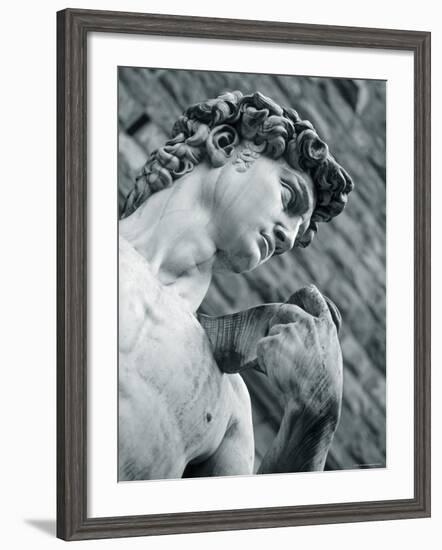 Statue of David, Florence, Tuscany, Italy-Alan Copson-Framed Photographic Print