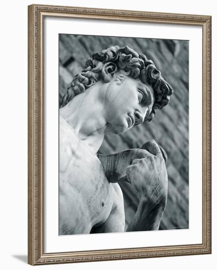 Statue of David, Florence, Tuscany, Italy-Alan Copson-Framed Photographic Print