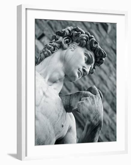 Statue of David, Florence, Tuscany, Italy-Alan Copson-Framed Photographic Print