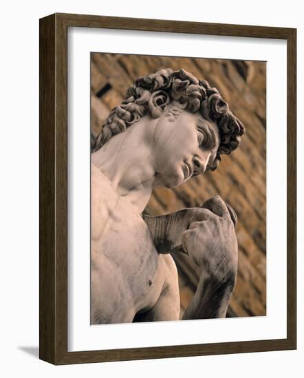 Statue of David, Piazza Della Signoria, Florence, Tuscany, Italy-Walter Bibikow-Framed Photographic Print