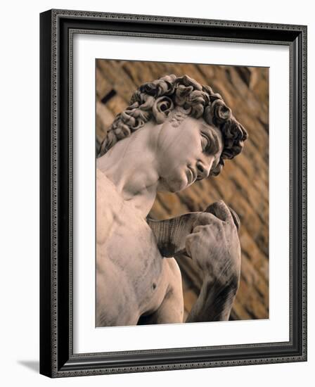 Statue of David, Piazza Della Signoria, Florence, Tuscany, Italy-Walter Bibikow-Framed Photographic Print