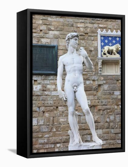 Statue of David, Piazza della Signoria, Florence, UNESCO World Heritage Site, Tuscany, Italy-Vincenzo Lombardo-Framed Premier Image Canvas