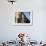 Statue of David with Shadow, Ufizzi in Background, Piazza Della Signoria, Florence, Tuscany, Italy-Martin Child-Framed Photographic Print displayed on a wall