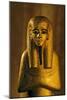 Statue of Duamutef; Gold; Wood, KV 62. Duamutef Was, in Ancient Egyptian Religion, On…, 2009 (Photo-Kenneth Garrett-Mounted Giclee Print
