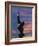 Statue of Freddy Mercury, Montreux, Canton Vaud, Switzerland, Europe-Angelo Cavalli-Framed Photographic Print