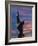 Statue of Freddy Mercury, Montreux, Canton Vaud, Switzerland, Europe-Angelo Cavalli-Framed Photographic Print