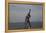 Statue of Freddy Mercury, Montreux, Canton Vaud, Switzerland, Europe-Angelo Cavalli-Framed Premier Image Canvas