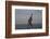 Statue of Freddy Mercury, Montreux, Canton Vaud, Switzerland, Europe-Angelo Cavalli-Framed Photographic Print