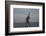 Statue of Freddy Mercury, Montreux, Canton Vaud, Switzerland, Europe-Angelo Cavalli-Framed Photographic Print