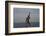 Statue of Freddy Mercury, Montreux, Canton Vaud, Switzerland, Europe-Angelo Cavalli-Framed Photographic Print