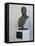 Statue Of George Washington Carver At Alabama Department Of Archives & History, Montgomery, Alabama-Carol Highsmith-Framed Stretched Canvas