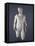 Statue of God or Hero (Marble)-Roman-Framed Premier Image Canvas