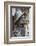 Statue of James Joyce, O'Connell Street, Dublin, Republic of Ireland, Europe-Nigel Hicks-Framed Photographic Print