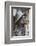 Statue of James Joyce, O'Connell Street, Dublin, Republic of Ireland, Europe-Nigel Hicks-Framed Photographic Print