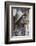 Statue of James Joyce, O'Connell Street, Dublin, Republic of Ireland, Europe-Nigel Hicks-Framed Photographic Print