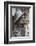 Statue of James Joyce, O'Connell Street, Dublin, Republic of Ireland, Europe-Nigel Hicks-Framed Photographic Print