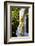 Statue of Johann Strauss, Stadtpark, Vienna, Austria, Central Europe-Neil Farrin-Framed Photographic Print