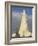 Statue of Leifur Eiriksson (Liefer Eriksson) and Hallgrimskirkja, Reykjavik, Iceland, Polar Regions-Neale Clarke-Framed Photographic Print