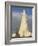 Statue of Leifur Eiriksson (Liefer Eriksson) and Hallgrimskirkja, Reykjavik, Iceland, Polar Regions-Neale Clarke-Framed Photographic Print