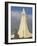 Statue of Leifur Eiriksson (Liefer Eriksson) and Hallgrimskirkja, Reykjavik, Iceland, Polar Regions-Neale Clarke-Framed Photographic Print