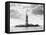 Statue of Liberty, 1905-Science Source-Framed Premier Image Canvas