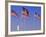 Statue of Liberty and Us Flags, New York City, USA-Walter Bibikow-Framed Photographic Print