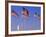 Statue of Liberty and Us Flags, New York City, USA-Walter Bibikow-Framed Photographic Print