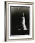 Statue of Liberty, c.1985-Andy Warhol-Framed Giclee Print