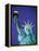 Statue of Liberty in New York City at dusk-Alan Schein-Framed Premier Image Canvas