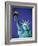 Statue of Liberty in New York City at dusk-Alan Schein-Framed Photographic Print