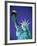 Statue of Liberty in New York City at dusk-Alan Schein-Framed Photographic Print