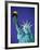 Statue of Liberty in New York City at dusk-Alan Schein-Framed Photographic Print