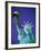 Statue of Liberty in New York City at dusk-Alan Schein-Framed Photographic Print