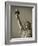 Statue of Liberty, New York City, USA-Jon Arnold-Framed Photographic Print