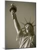 Statue of Liberty, New York City, USA-Jon Arnold-Mounted Photographic Print