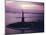 Statue of Liberty on Bedloe's Island in New York Harbor-Dmitri Kessel-Mounted Photographic Print