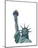 Statue of Liberty-Erin Clark-Mounted Art Print