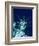 Statue of Liberty-Joseph Sohm-Framed Photographic Print