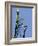 Statue of Liberty-Whoartnow-Framed Giclee Print