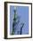 Statue of Liberty-Whoartnow-Framed Giclee Print