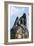 Statue of Lorelei-null-Framed Photographic Print