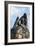 Statue of Lorelei-null-Framed Photographic Print