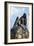 Statue of Lorelei-null-Framed Photographic Print